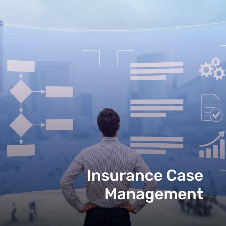 Insurance Case Management
